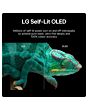Lg OLED77B42LA.AEK 77inch 4K OLED Smart TV